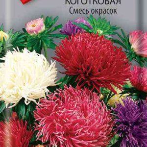 Семена  Поиск Инвест