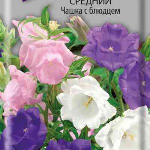 Семена  Поиск Инвест