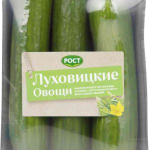 Огурцы гладкие Рост