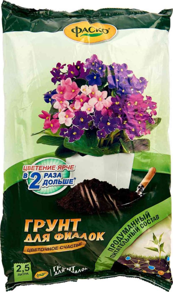 Грунт  Фаско