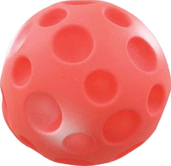 Игрушка для собак Мяч-Луна Zoonik