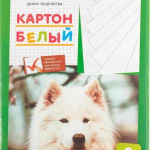 Картон мелованный ARTspace