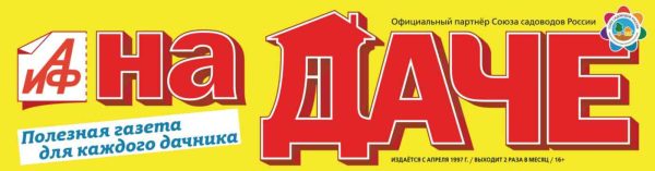 Газета АиФ