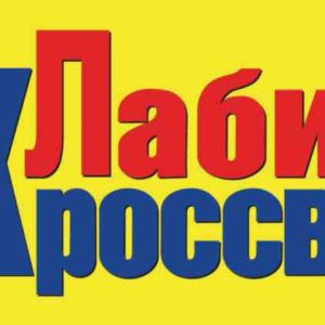 Журнал Лиза. Лабиринт кроссвордов
