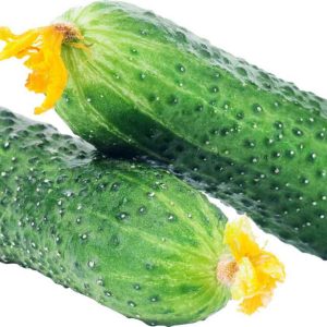 Огурцы короткоплодные