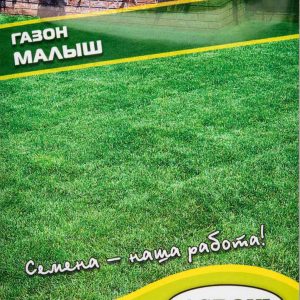 Семена газонной травы Agroni