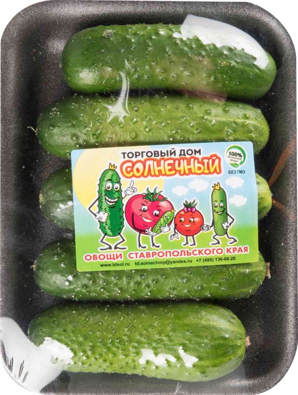 Огурцы корнишоны Солнечный