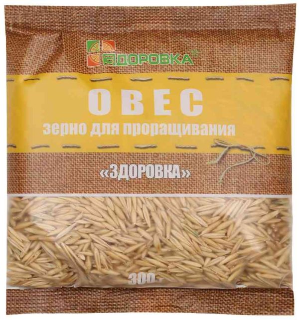 Овес для проращивания  Здоровка