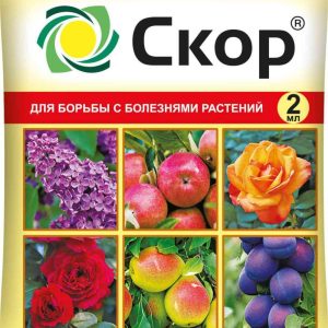Фунгицид  Ваше Хозяйство