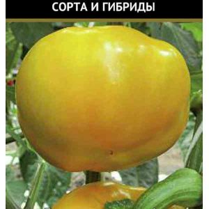 Семена  Поиск Инвест