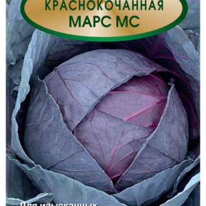 Семена  Поиск Инвест
