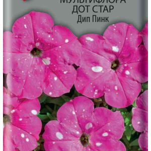 Семена  Поиск Инвест