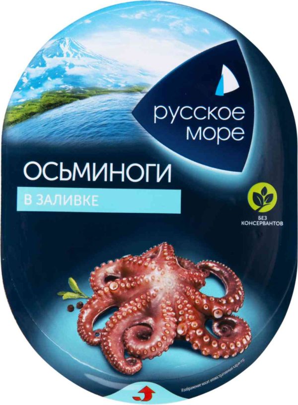 Осьминоги  Русское море
