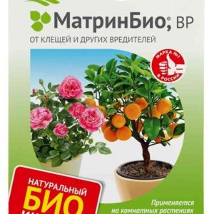 Инсектицид  Avgust