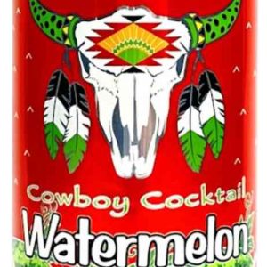 Холодный чай  Arizona