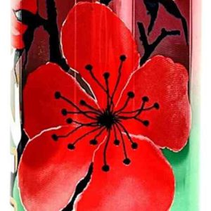 Холодный чай зеленый Arizona