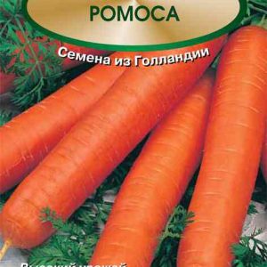 Семена  Поиск Инвест