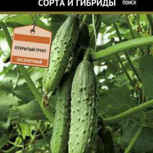 Семена  Поиск Инвест