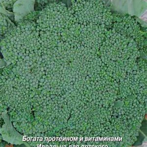 Семена  Поиск Инвест