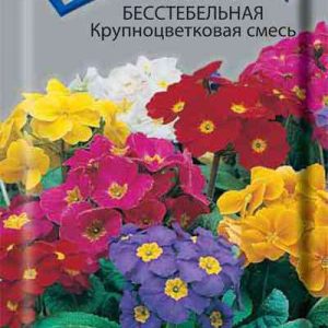 Семена  Поиск Инвест