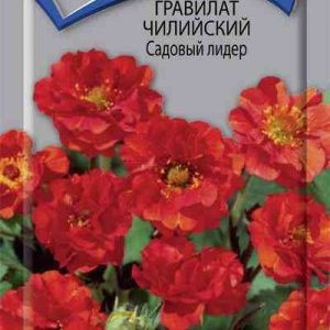 Семена  Поиск Инвест