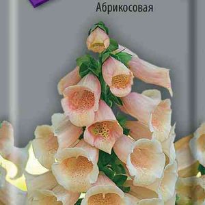 Семена  Поиск Инвест