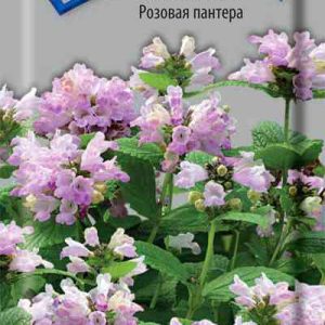Семена  Поиск Инвест