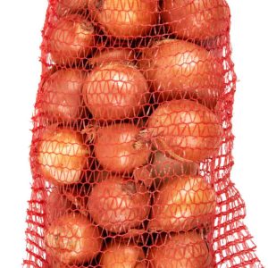 Лук репчатый