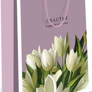 Пакет подарочный Арт и Дизайн