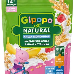 Каша мультизлаковая молочная Gipopo