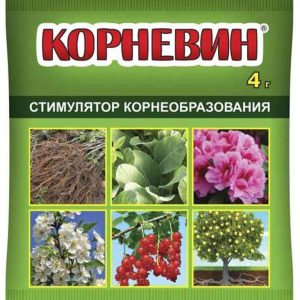 Стимулятор корнеобразования  Ваше Хозяйство