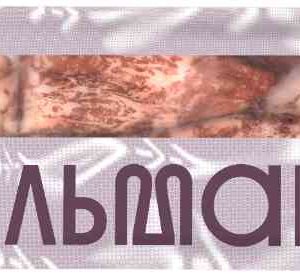 Кальмар командорский замороженный Borealis