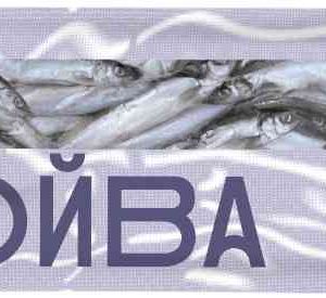 Мойва мороженая Borealis