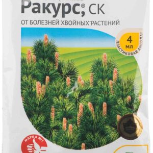 Фунгицид от болезней хвойных растений Avgust