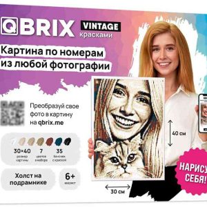 Картина по номерам  QBRIX