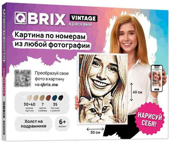 Картина по номерам  QBRIX