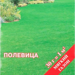Семена газонной травы Русский Огород
