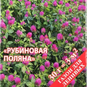 Семена газонной травы Русский Огород