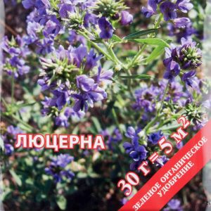 Семена газонной травы Русский Огород