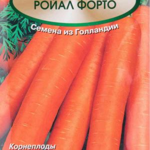 Семена  Агрофирма Поиск