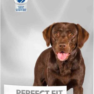 Сухой корм для активных собак мини пород  Perfect Fit