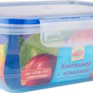 Контейнер  Глобус